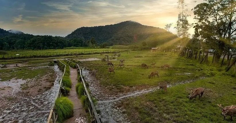 10 rekomendasi wisata bandung yang dingin